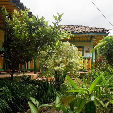 The Plantation House Travellers Hostel Salento Exterior photo